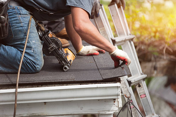 Best Local Roofing Companies  in Iron River, MI