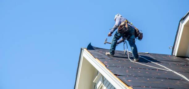 Best Roof Maintenance Services  in Iron River, MI